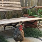 On the bench…